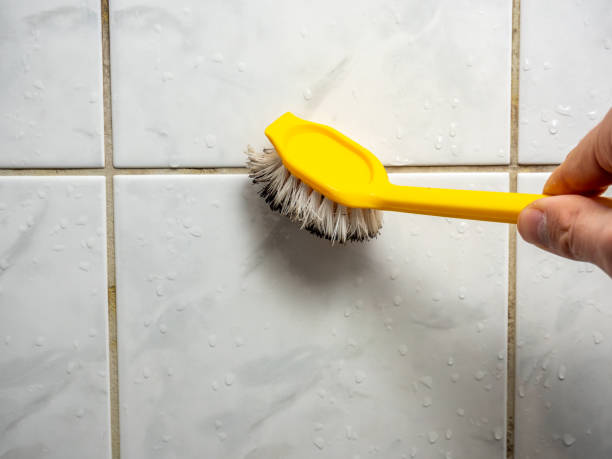 Best Home Mold Removal  in Williams, OR